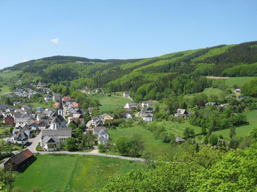 a small town in a valley with green hills at In der Waldemei in Medebach