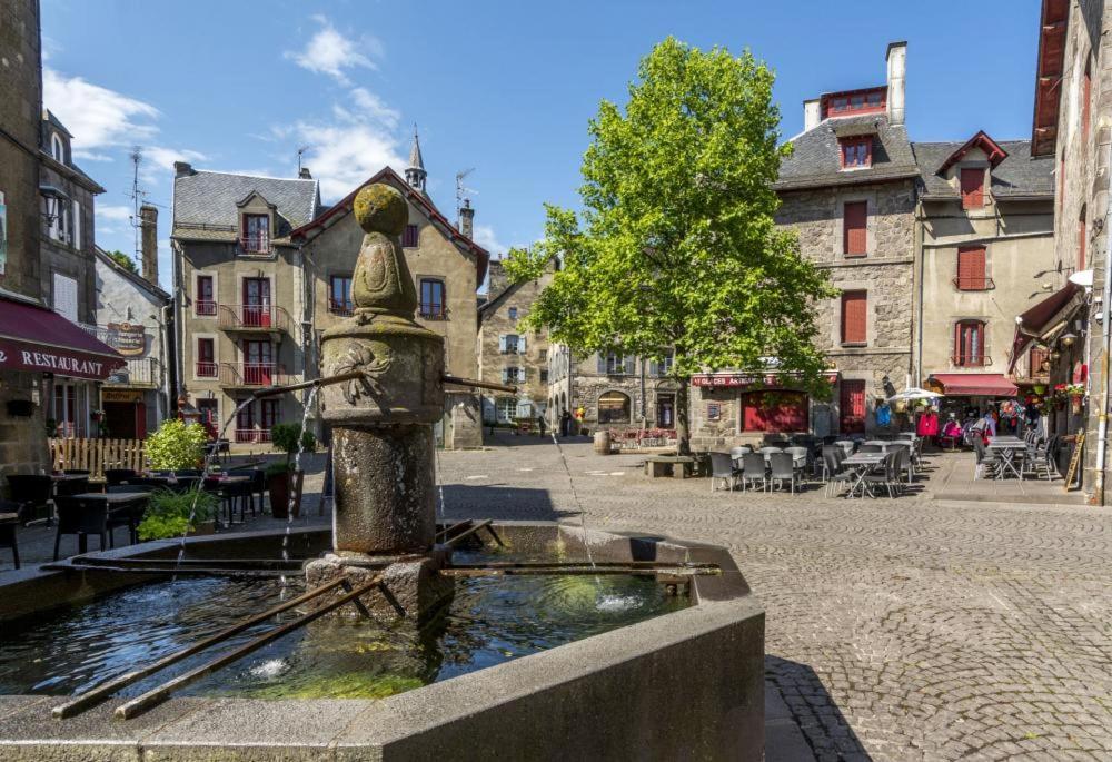 une fontaine au milieu d'une rue dans l'établissement Grande maison dans la cité médiévale de Besse, à Besse-et-Saint-Anastaise