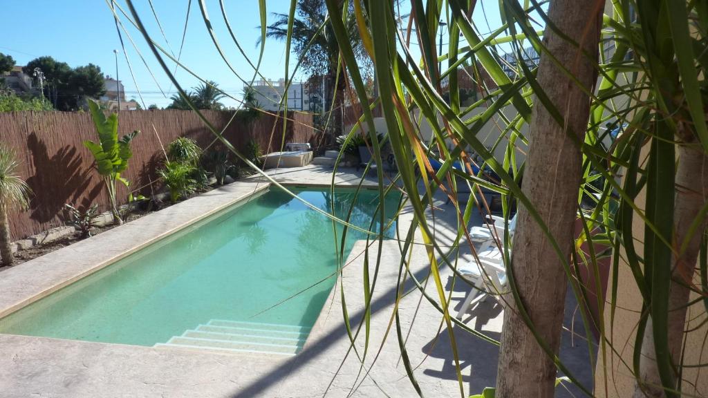 a swimming pool in a yard with a palm tree at Guesthouse en Coveta fumà- El Campello in El Campello