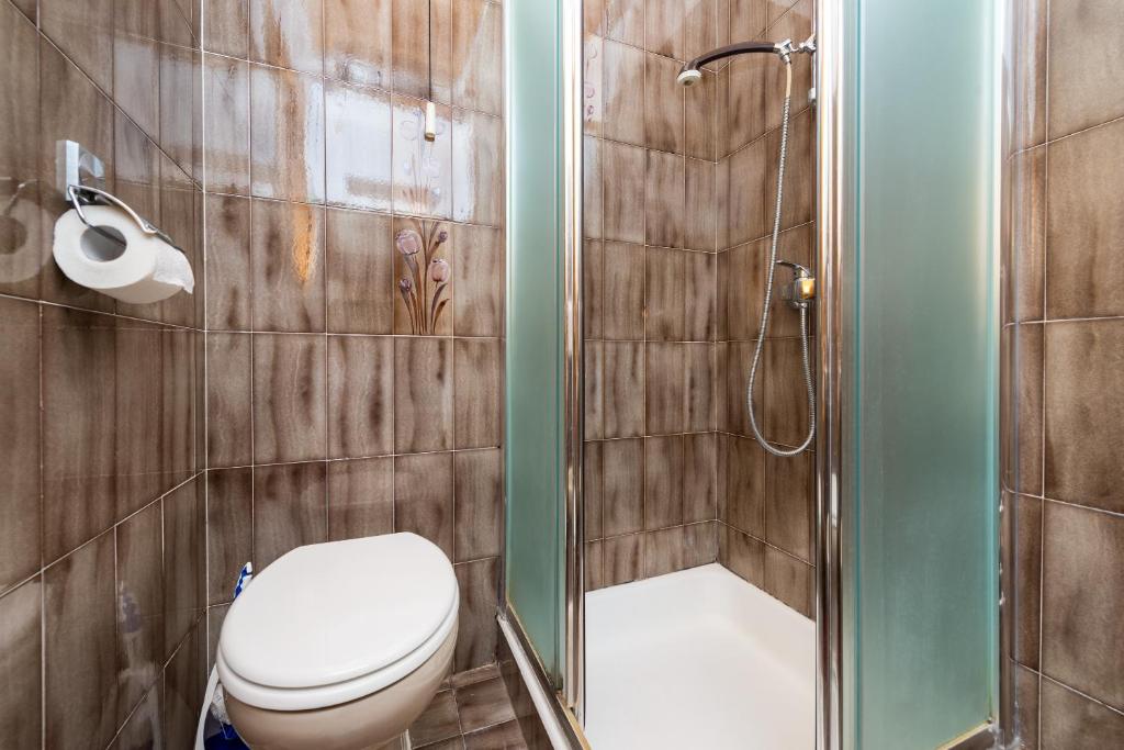 een badkamer met een toilet en een douche bij Villa Kukuljica in Zaton