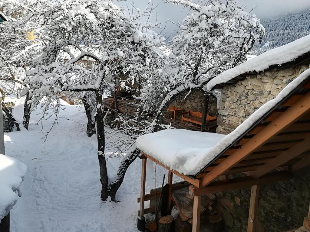 Sanmari im Winter