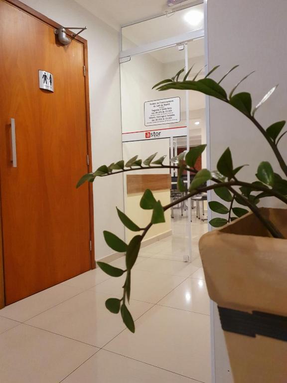 Fotografie z fotogalerie ubytování Astor Hotel v destinaci Bauru