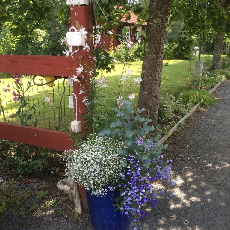 Zahrada ubytování Stensholms Trädgård
