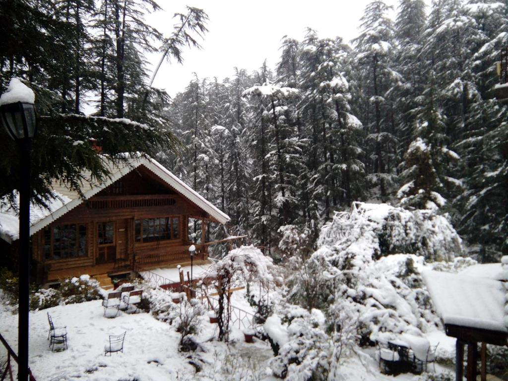 The Chalets Naldehra talvel