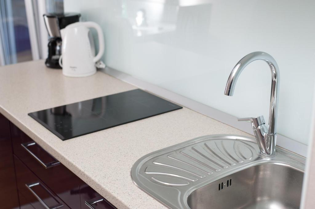 Kuchyň nebo kuchyňský kout v ubytování Apartments Vlasic