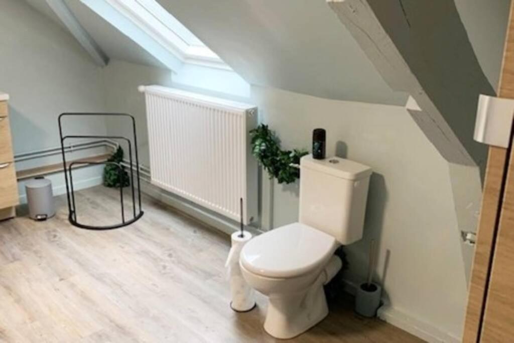 a bathroom with a white toilet in a attic at Caudry : Appartement spacieux plein centre in Caudry