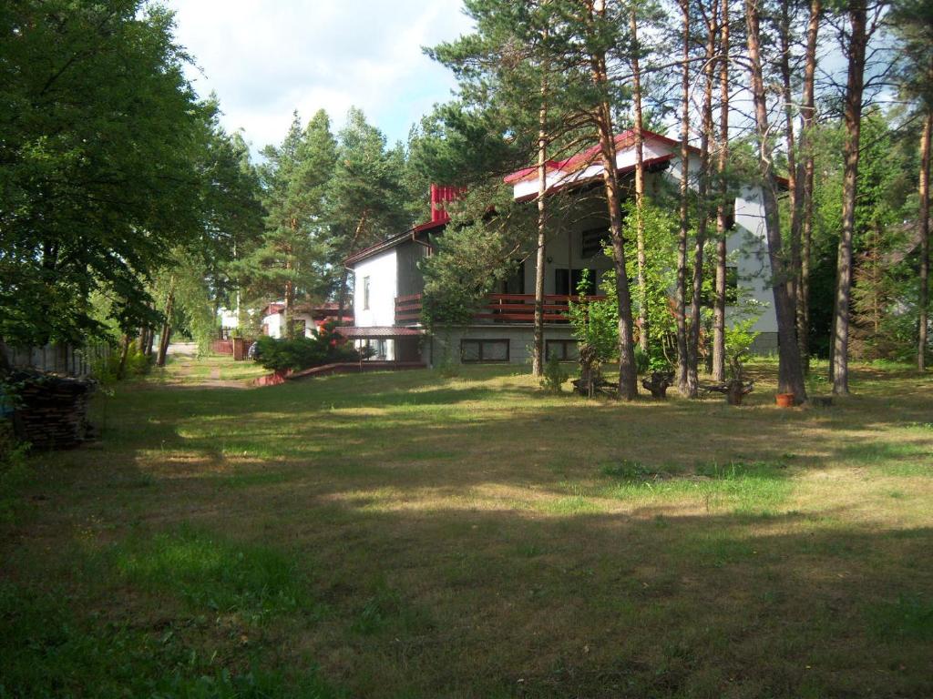 Vonkajšia záhrada v ubytovaní Forest Villa