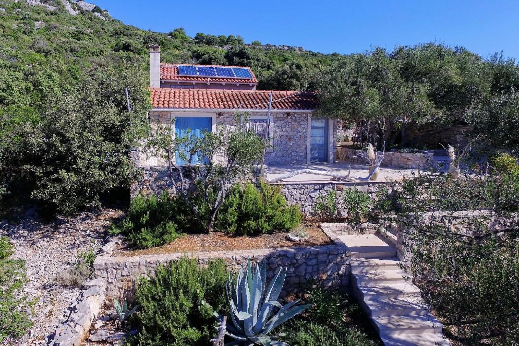 House Lemon Tree