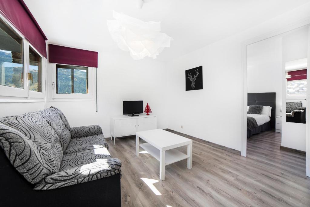 TV a/nebo společenská místnost v ubytování Apartaments Riu D'Incles