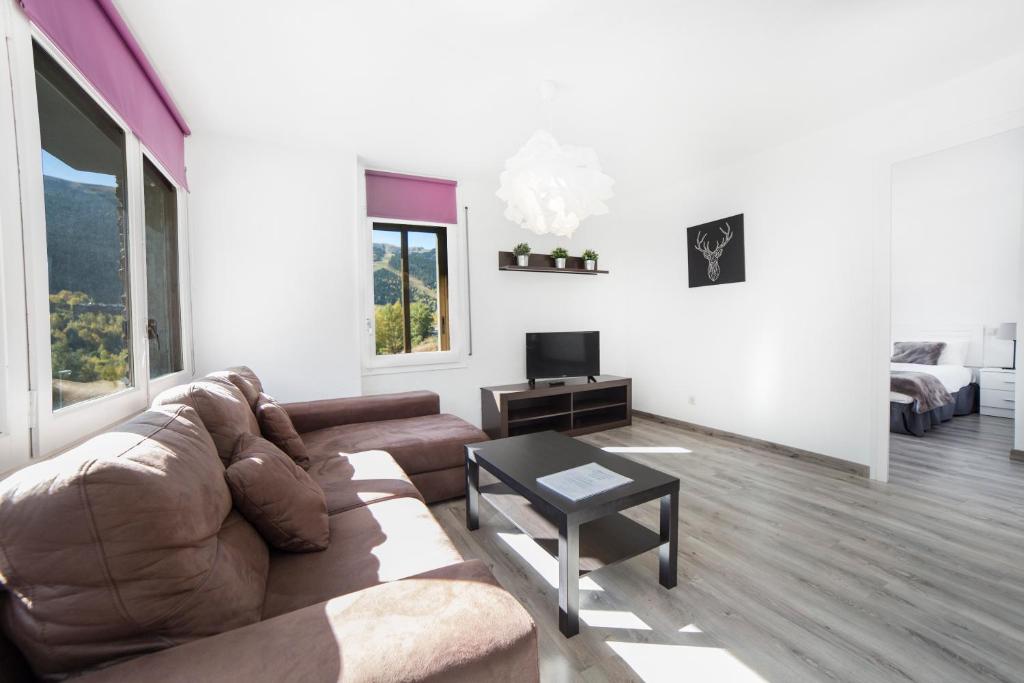 TV a/nebo společenská místnost v ubytování Apartaments Riu D'Incles
