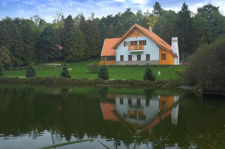 uma casa sentada ao lado de um corpo de água em Alirét Vadászház em Ságvár