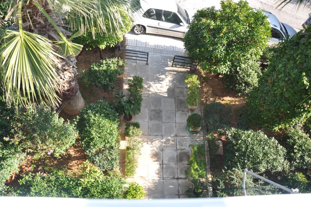 A garden outside Sunny Apartment with view