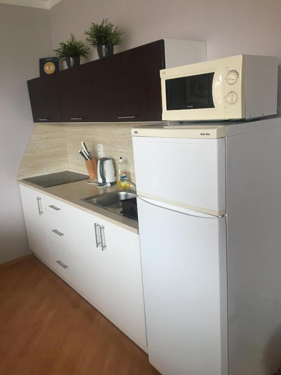 Kuchyň nebo kuchyňský kout v ubytování Apartmán Edita