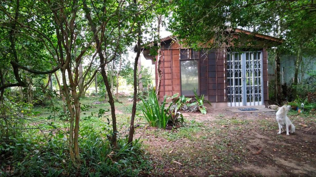  Choupana das Araucárias