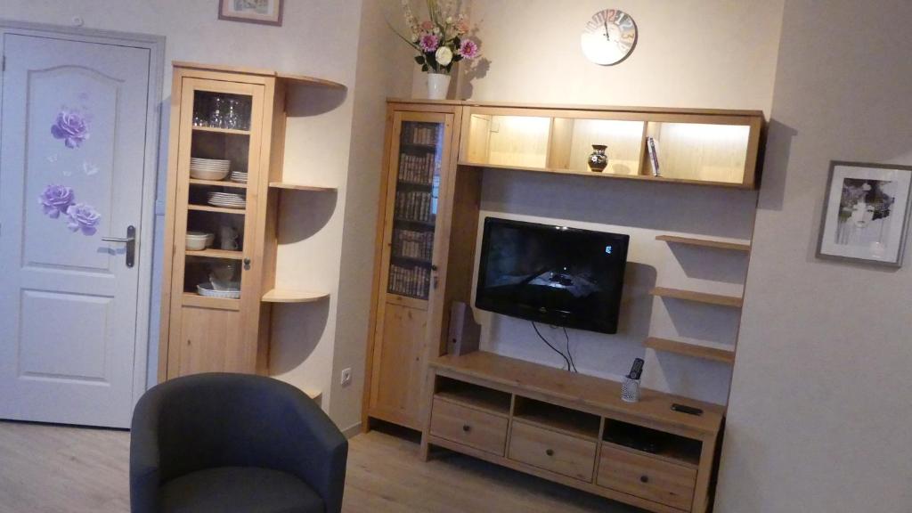 Au Cygne - One-Bedroom Apartment