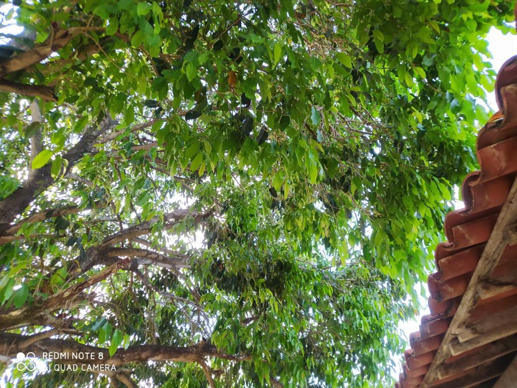  Casa de Praia Tamandaré/Praia dos Carneiros