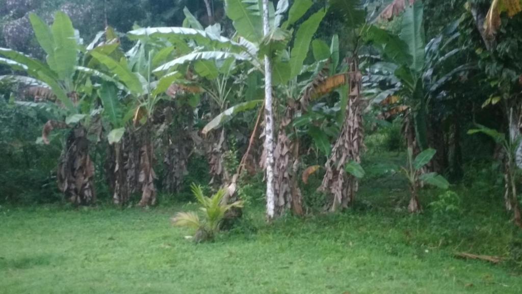  casa em sitio a 10 minutos da praia e a 200 metros da rodovia