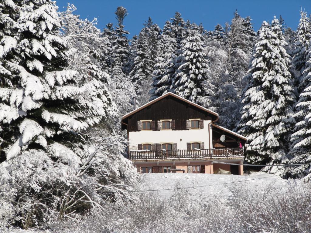 a house in the middle of a snow covered forest at LE CHALET VOSGIEN bain nordique Kota Grill in Gérardmer