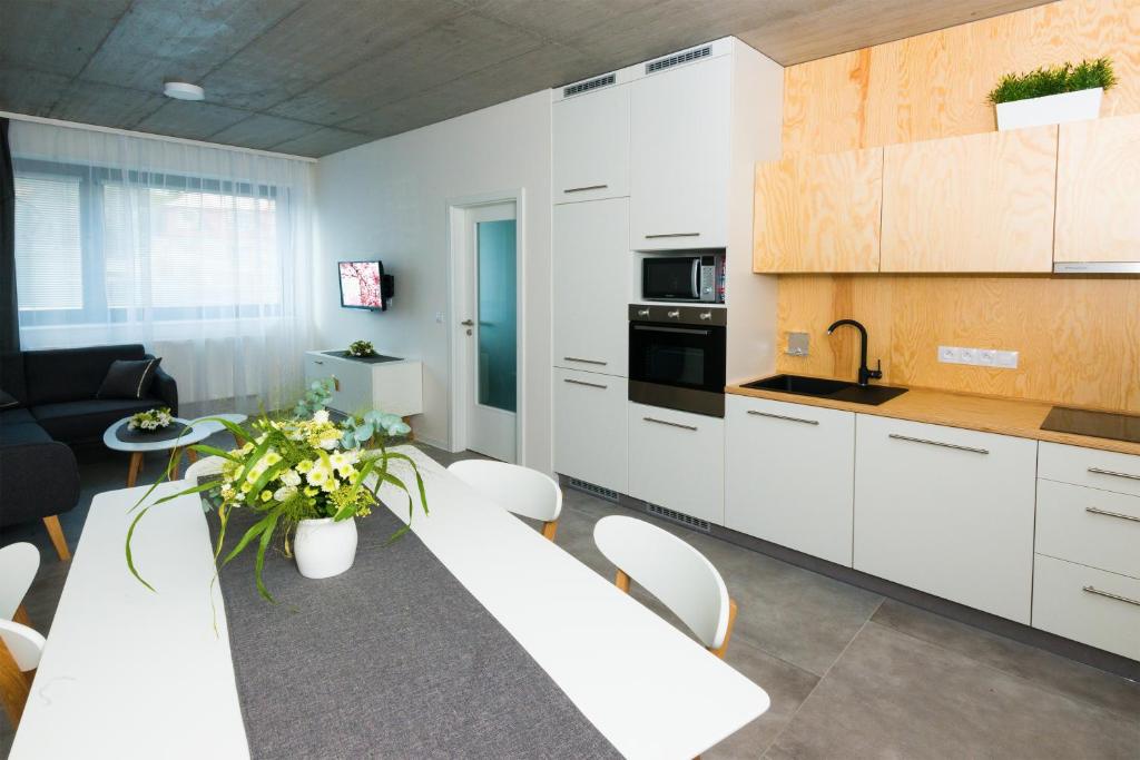 Kuchyň nebo kuchyňský kout v ubytování Residence Trafick