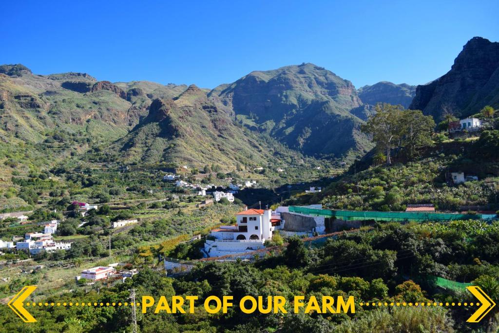 - une vue sur une vallée avec des montagnes en arrière-plan dans l'établissement Casa Camino Tamadaba, à Agaete