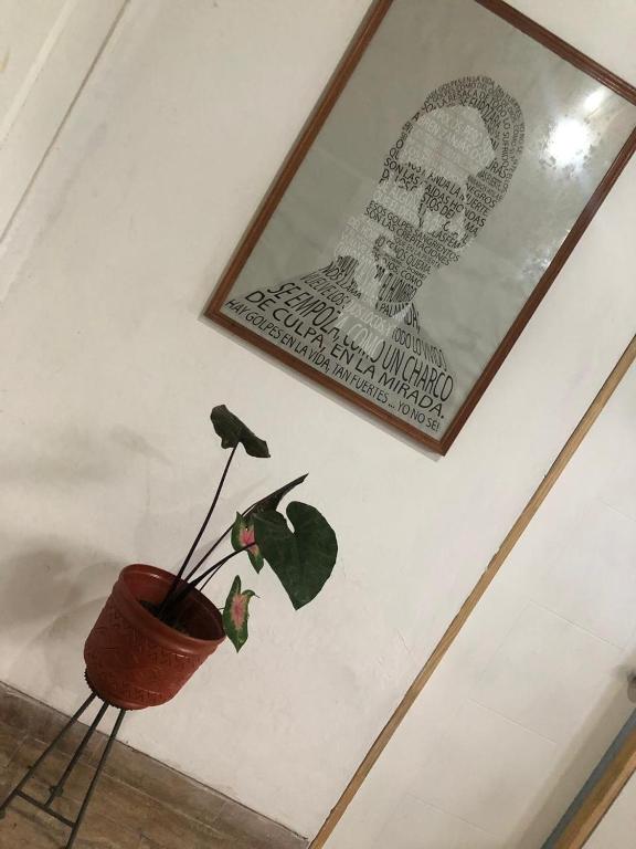 Fotografie z fotogalerie ubytování Poseidon Guest House v destinaci Iquitos
