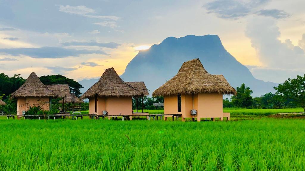 einer Gruppe von Hütten auf einem Grasfeld in der Unterkunft Baan Porhdoi Goidao in Chiang Dao