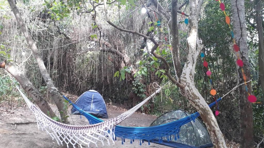  CAMPING CARNAVAL OLINDA