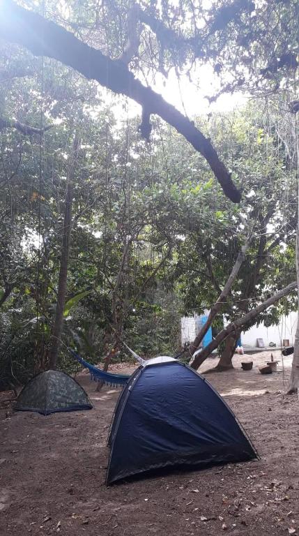  CAMPING CARNAVAL OLINDA