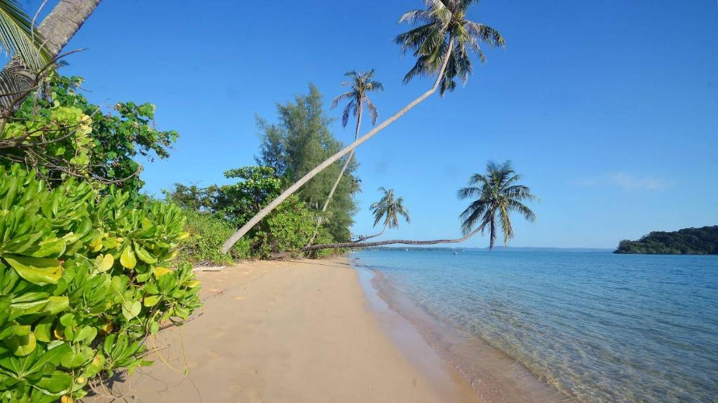 una playa con palmeras y el océano en Hidden Beach Resort, en Ko Mak