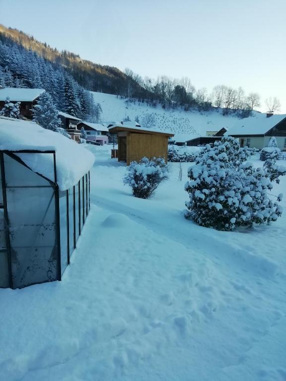 Haus Anneliese v zimě