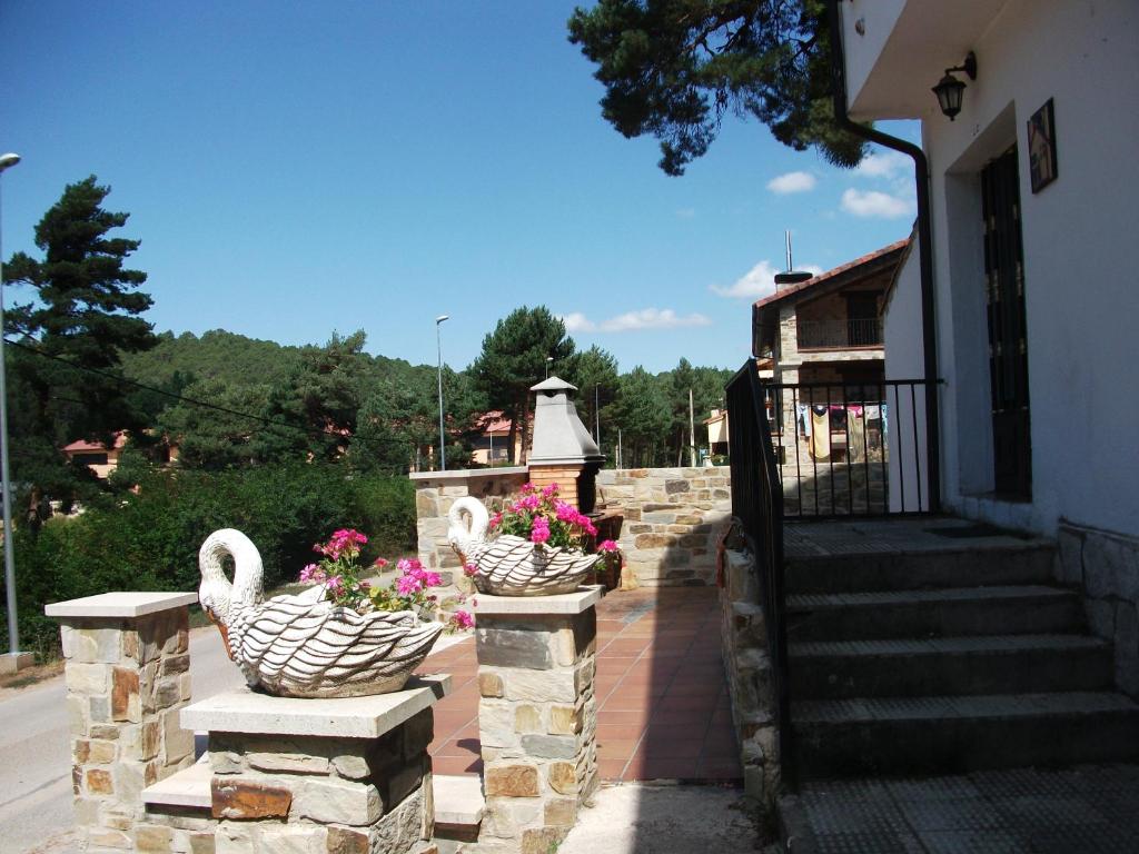 Fuente del Pino Cañón de Río Lobos, San Leonardo de Yagüe ...