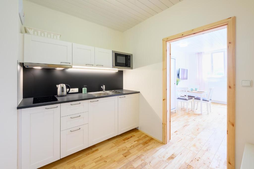 Marvelous lake view apartments - Jezerka Lipno - Estudio Con Vista Al Lago