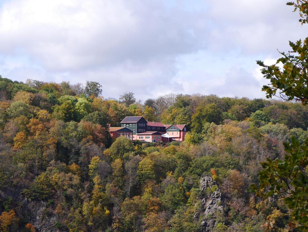 uma casa no topo de uma colina na floresta em Akzent Berghotel Rosstrappe em Thale