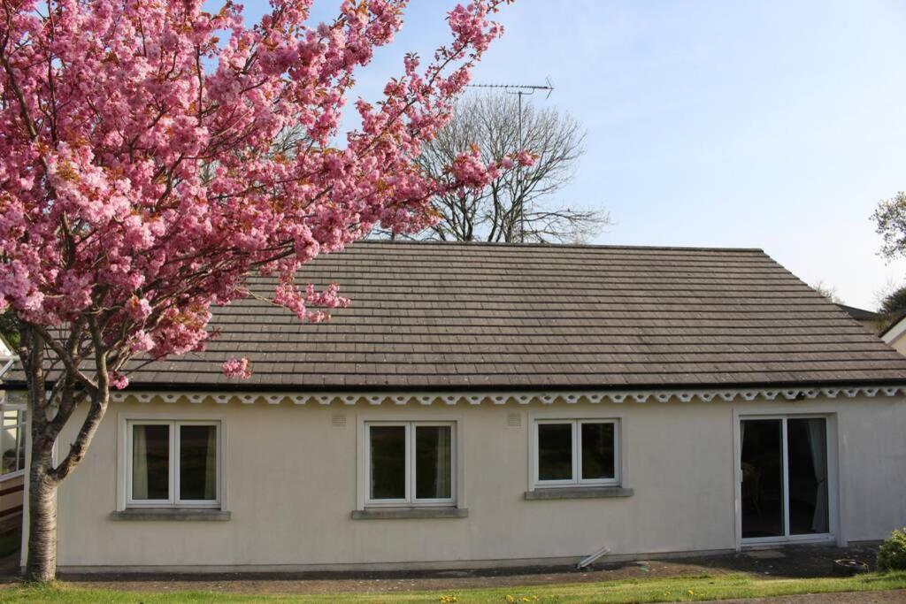 dom z kwitnącym drzewem przed nim w obiekcie Sunny Bungalow w mieście Courtown