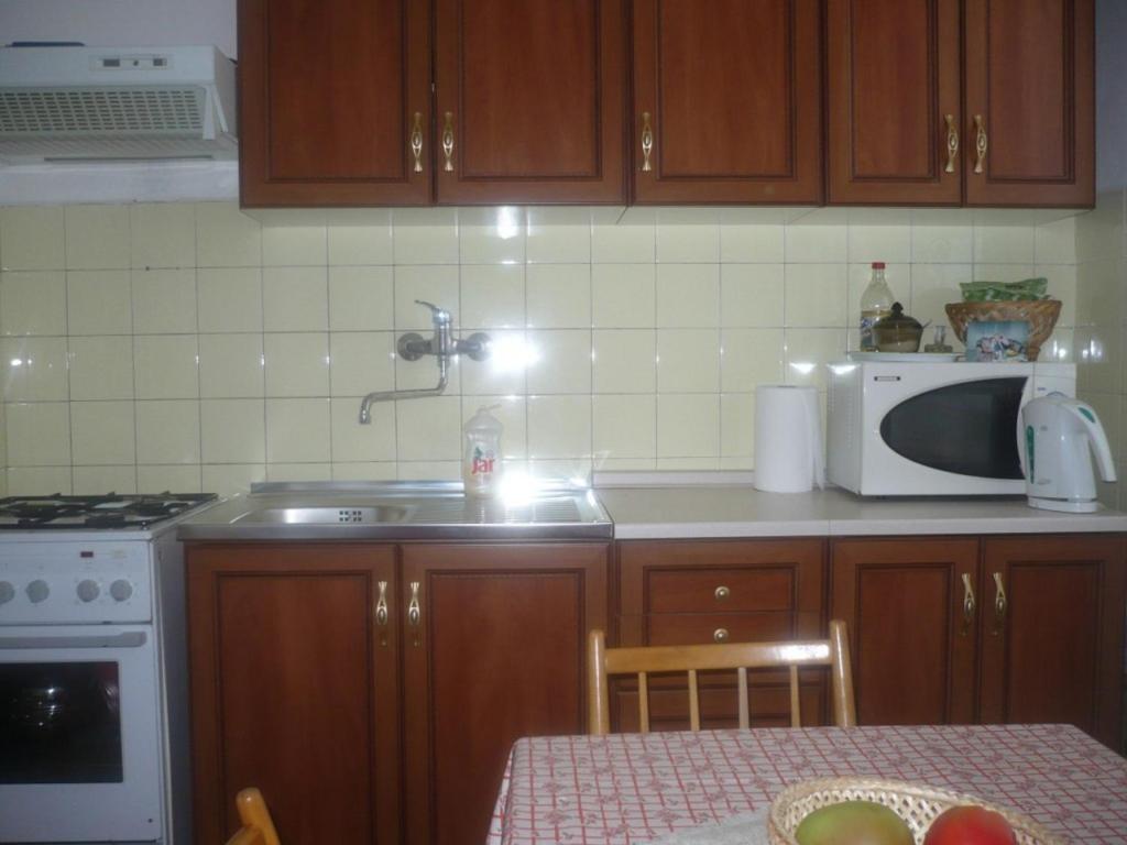 Kuchyň nebo kuchyňský kout v ubytování Vila Daniel