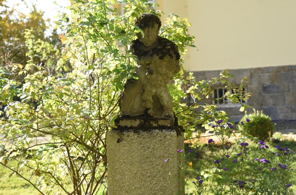 Zahrada ubytování Villa Bergmann