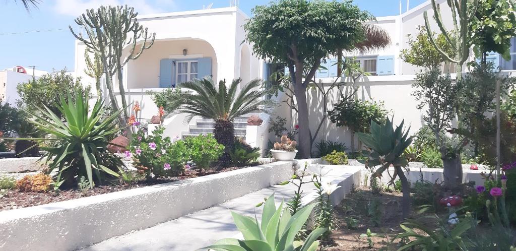 a garden in front of a white house with plants at Villa Nikos Karamolegkos Kamari in Kamari