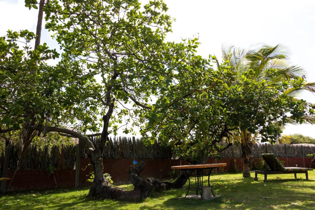  Casa de Maria na Praia de Atins