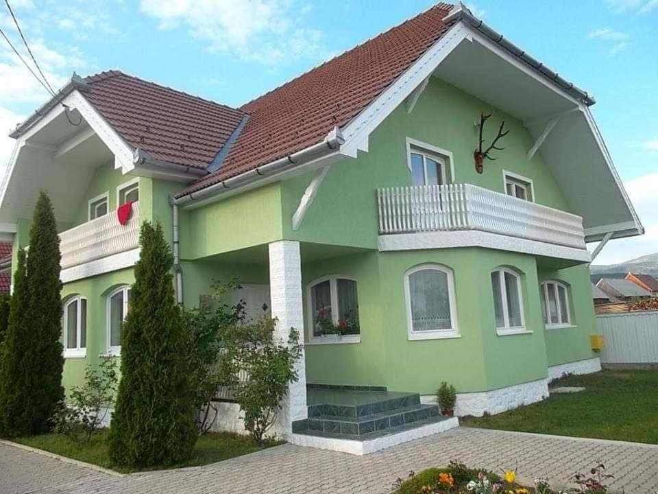 a green house with a brown roof at Hajnal vendégház in Căpîlniţa