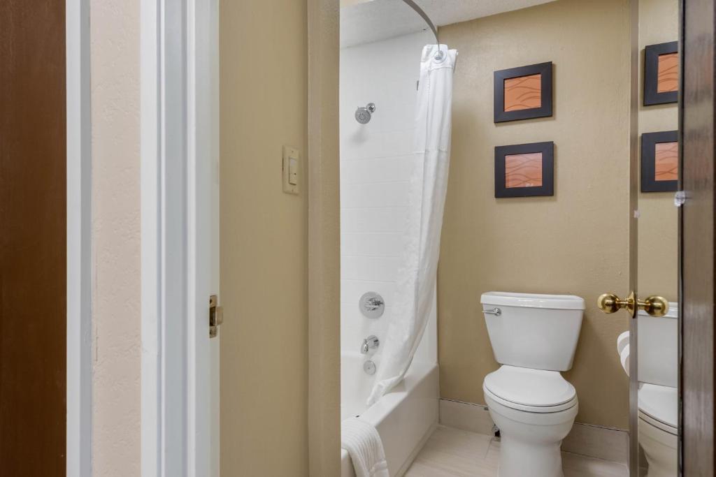 Comfort Inn South - 