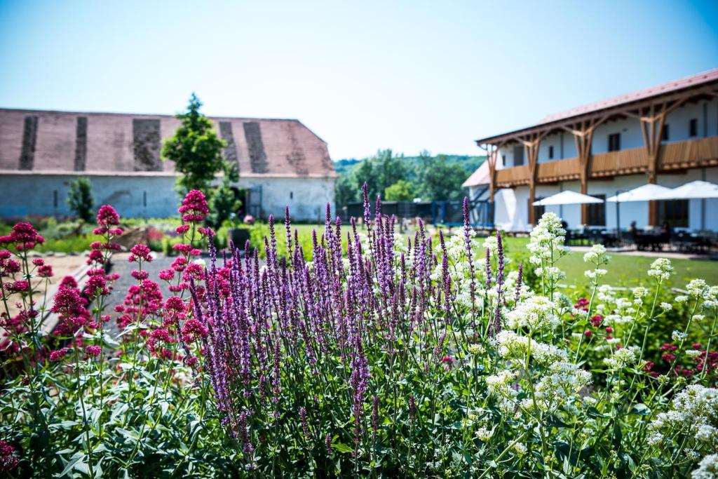 Aed väljaspool majutusasutust Dvůr Perlová voda