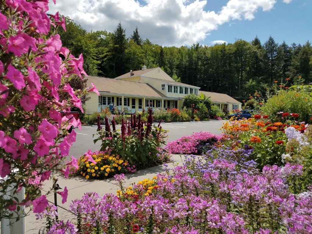 a garden of flowers in front of a building at Bay Top Motel in Weirs Beach