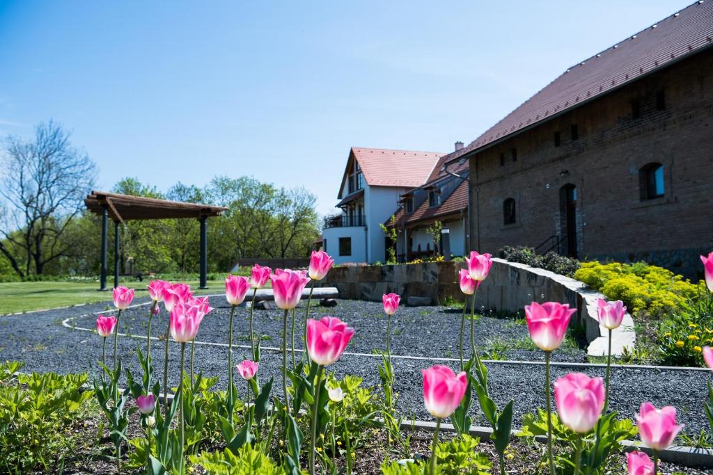 Aed väljaspool majutusasutust Dvůr Perlová voda