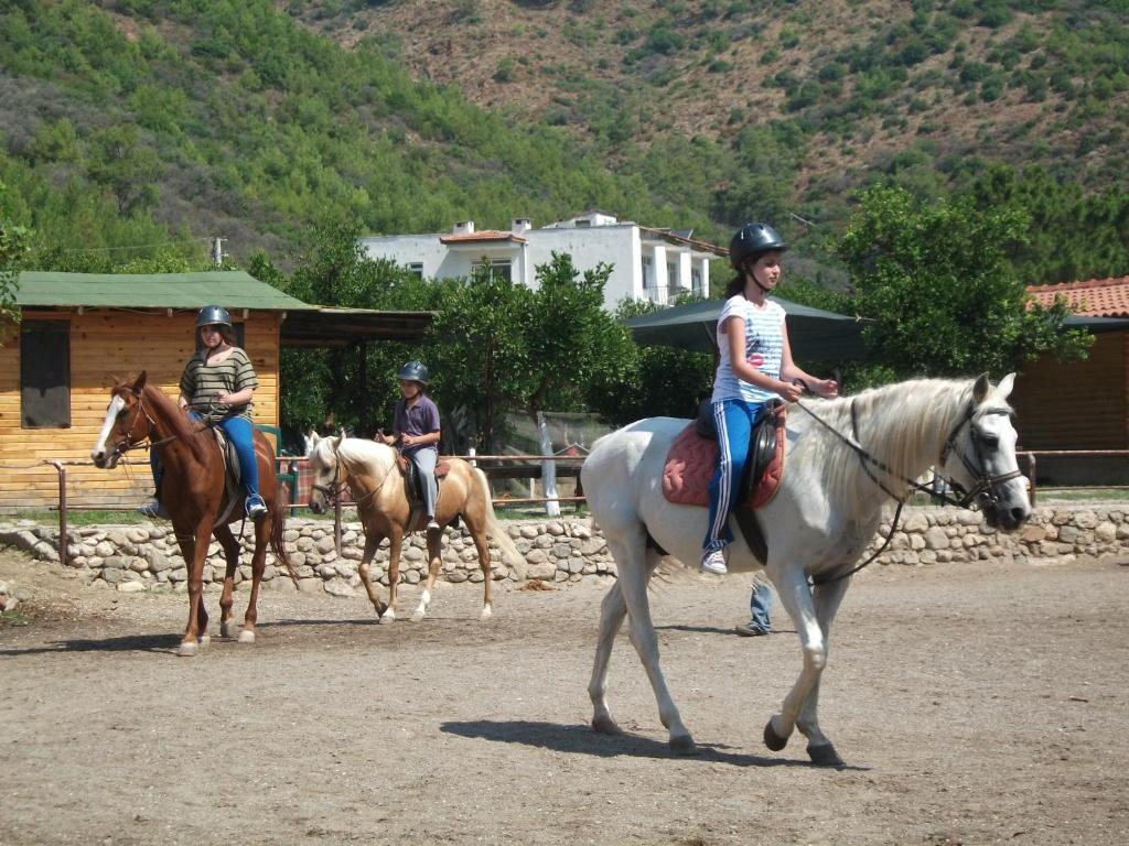 Kép Oranj Ranch Hotel szállásáról Kemerben a galériában