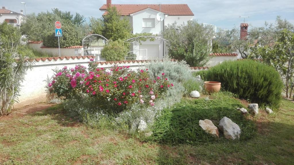 O grădină în afara Apartment Barba