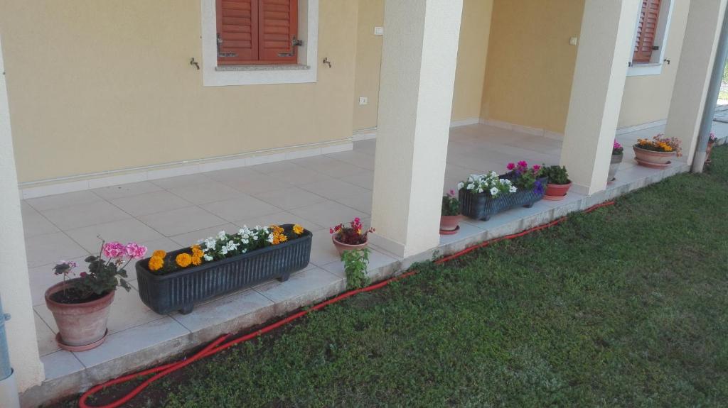O grădină în afara Apartment Barba