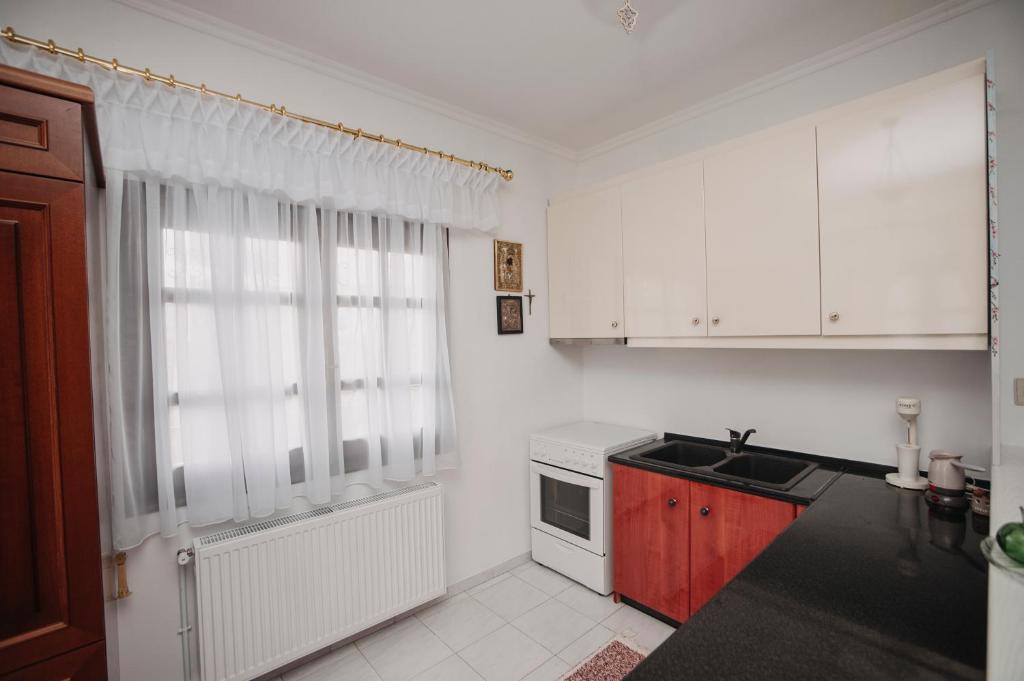 Kuchyň nebo kuchyňský kout v ubytování Mythic House