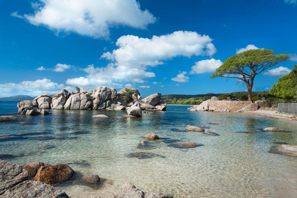 einen Strand mit Felsen und einem Baum im Wasser in der Unterkunft Villa Les Lieges de Palombaggia in Porto-Vecchio