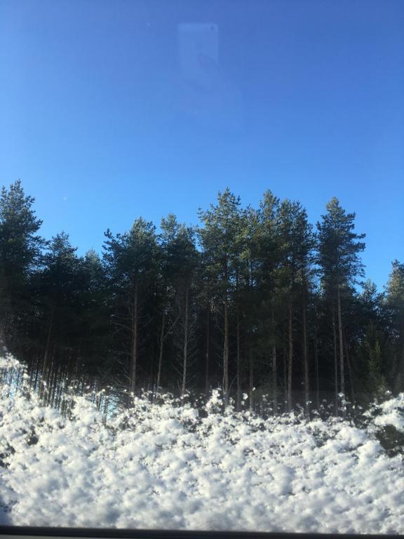 Käänu puhkemaja v zimě