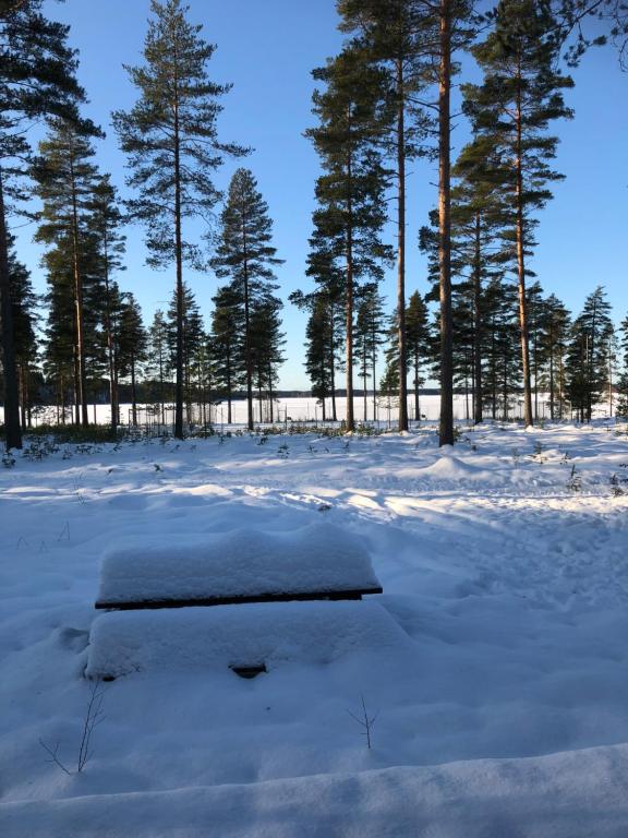 a bench covered in snow in a field with trees at Joutiaisentie H 44 Sunset apartment in Joutsa